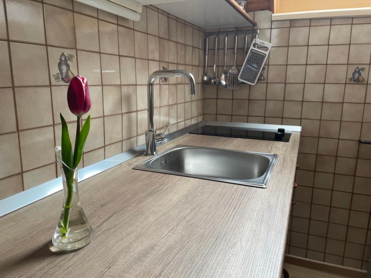 Apartmaji Prezelj Бохінь Екстер'єр фото