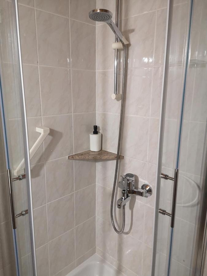Apartmaji Prezelj Бохінь Екстер'єр фото