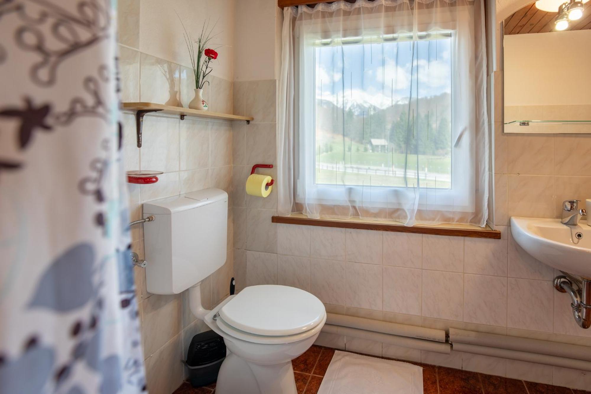 Apartmaji Prezelj Бохінь Екстер'єр фото